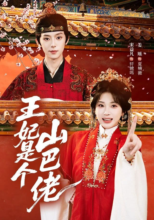 王妃是个山巴佬作品海报