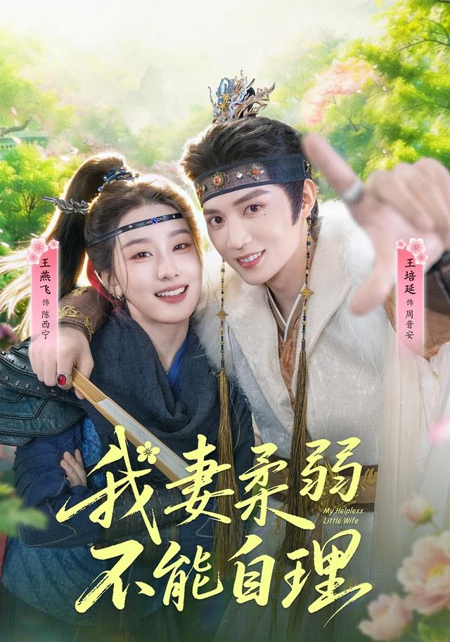 我妻柔弱不能自理作品海报