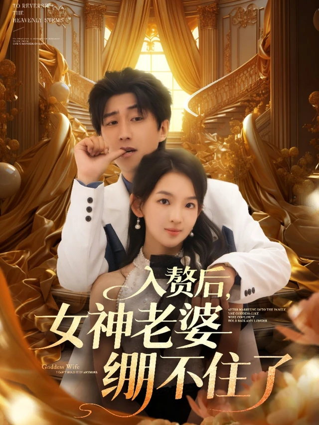 入赘后，女神老婆绷不住了作品海报