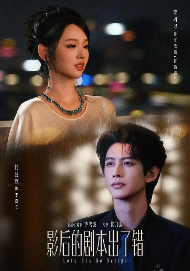 影后的剧本出了错作品海报